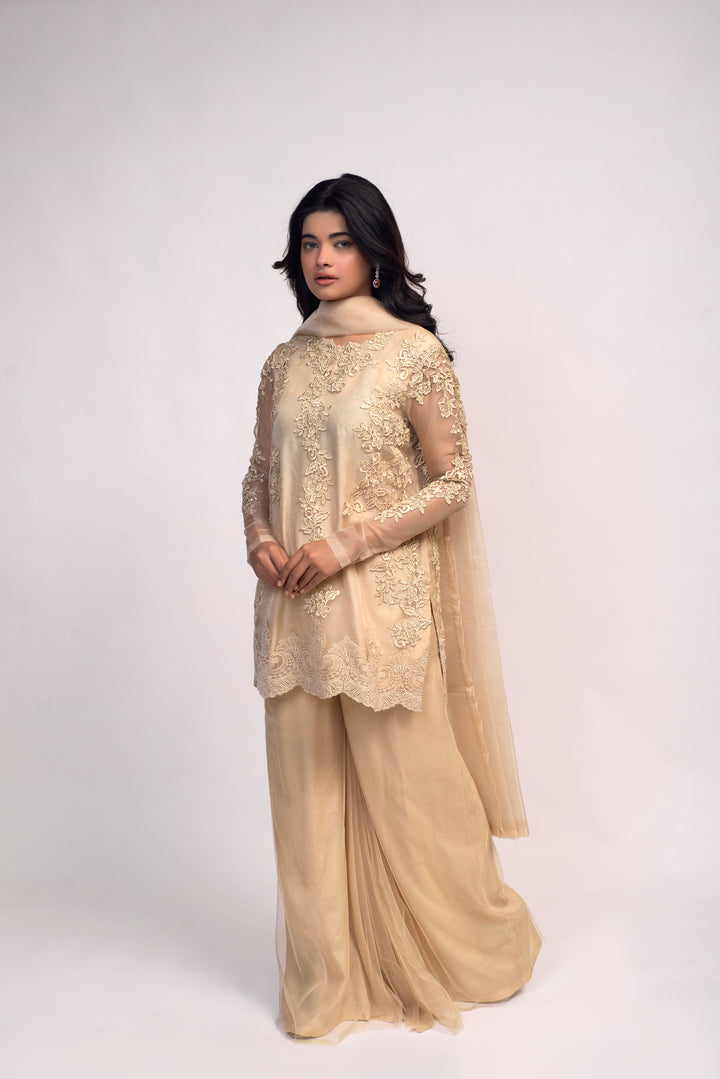 Beige Lace Applique Dress