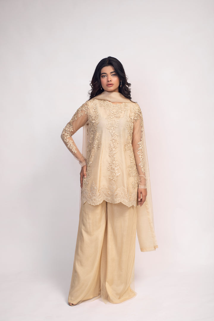 Beige Lace Applique Dress